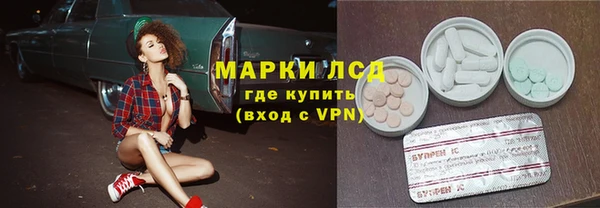 шишки Бородино