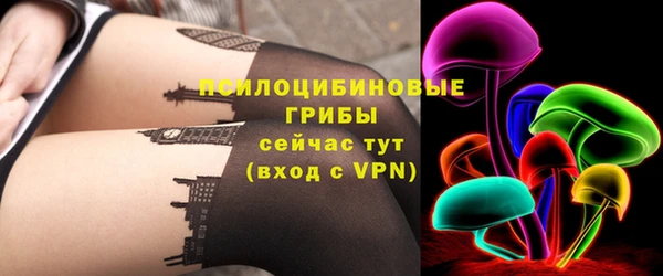 шишки Бородино