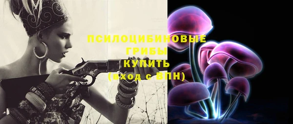 шишки Бородино