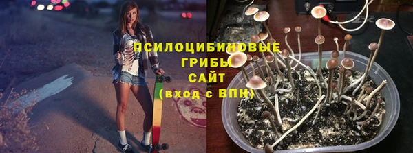 шишки Бородино