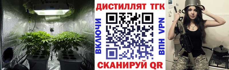 ТГК жижа как найти закладки Облучье