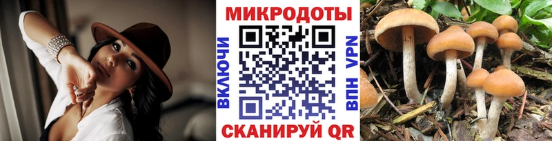 Псилоцибиновые грибы прущие грибы Облучье